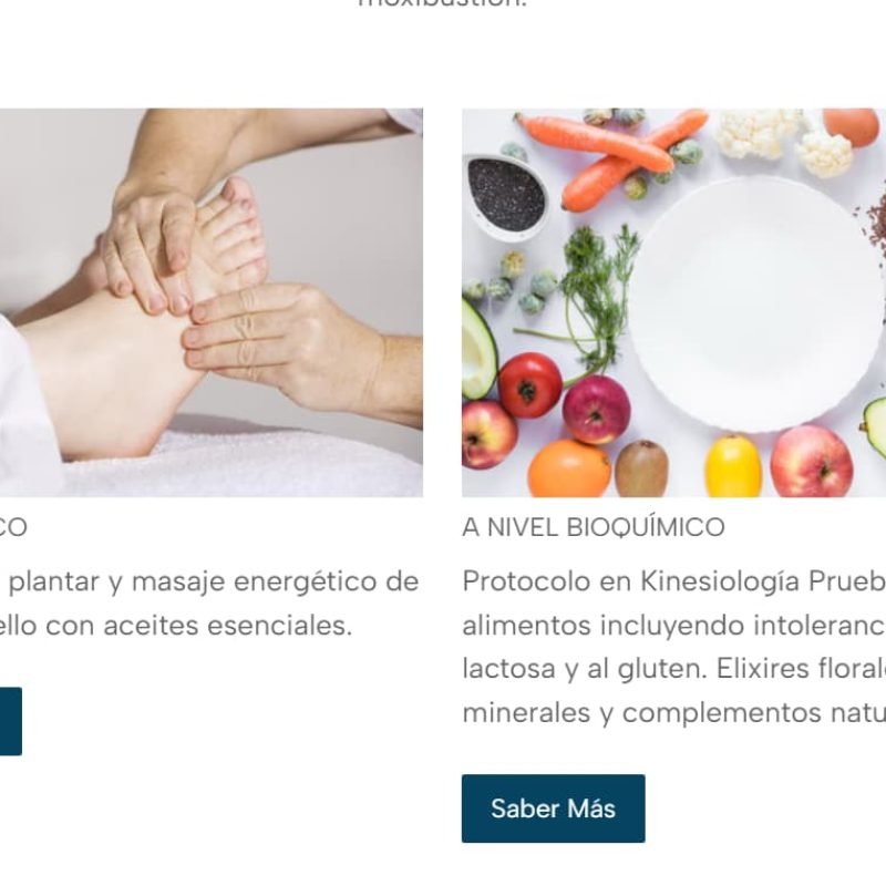 Web Energía del Corazón - Acceso a Servicios